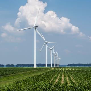 Imagem de uma fileira de turbinas eólicas em um campo