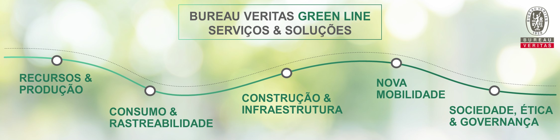Imagem com uma ilustração listando os serviços e soluções do Green Line BV, incluindo Recursos & Produção, Consumo & Rastreabilidade, Construção & Infraestrutura, Nova Mobilidade e Sociedade, Ética & Governança