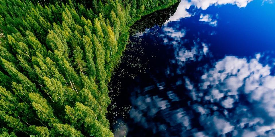 Imagem vista de cima de uma floresta ao lado esquerdo e um rio ao lado direito