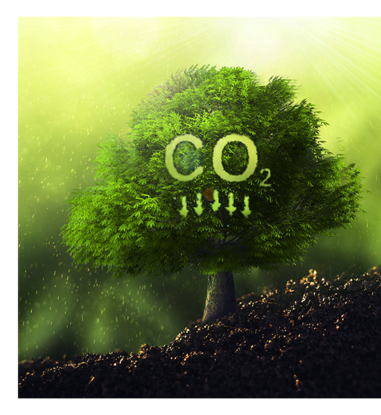 Árvore com ícone de redução de CO₂