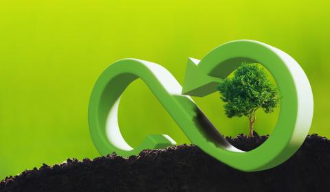 Imagem de uma árvore rodeada pelo símbolo de reciclagem