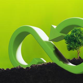 Imagem de uma árvore rodeada pelo símbolo de reciclagem