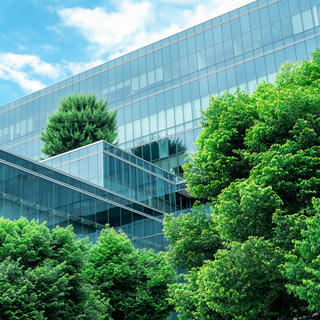 Imagem de um prédio rodeado por árvores
