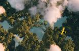 Imagem vista de cima de um avião pequeno passando por cima de uma floresta